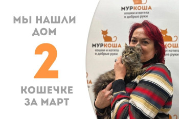 Ровно месяц понадобился десятимесячной Пети-Па, чтобы обрести домашнее счастье!