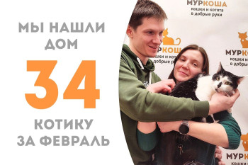 Котик Пейтон стал частью прекрасной семьи!