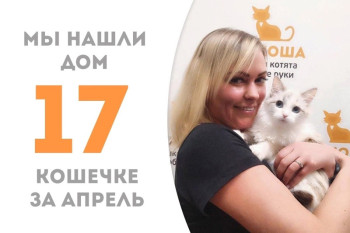 Спустя всего два месяца крошка Пиксида встретила хозяйку!