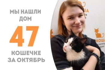 Пипино отправляется домой!