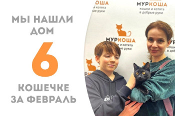 Кошечка Пирелли встретила свою семью!