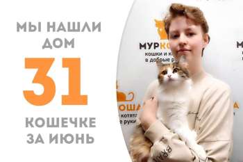 Кошечка Пищуха нашла дом за два месяца!