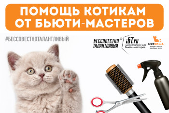 Творить красоту - с заботой о котиках!