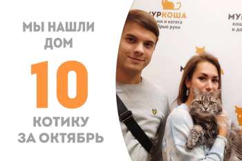 Меньше трех месяцев прошло, а Посейдон дома!