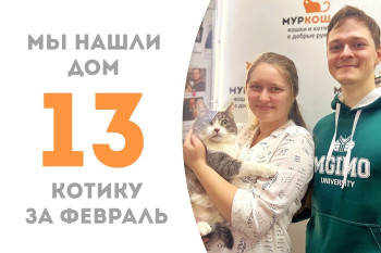 Кот Пряникус встретил замечательную семью!