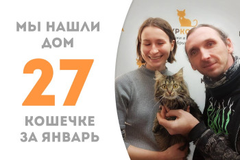 Кошечке Пушке потребовалось менее трёх месяцев, чтобы найти новую семью!