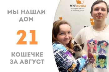За 1,5 месяца Пушонок нашла свою семью!