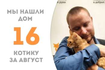 Всего две недели прошло, а Раджо уже отправляется домой!