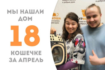 Озорная Риволи стала домашней!