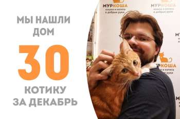 Всего три месяца, и Риз становится домашним!