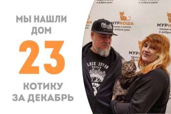 Чуть больше 2 месяцев понадобилось Русачку, чтобы стать домашним!