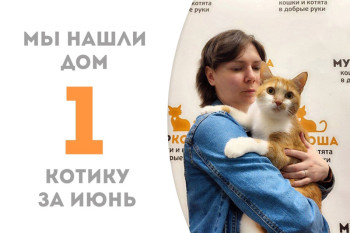 Котик Рыбак встретил свою чудесную хозяйку!