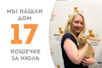 Кошка Рыжинка стала домашней за два месяца!