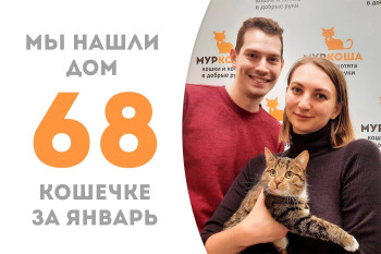 Юная кошечка Саламандра встретила своих людей и утарахтела домой!