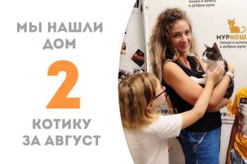 Сальвас нашёл себе чудесную семью!