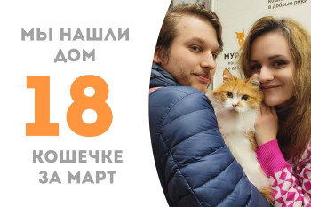 Кошечка Салями восьми лет отправилась в семью к нашей выпускнице Карамелькиной!