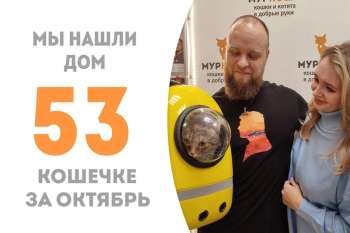 Санса обрела дом и семейное счастье в нем!