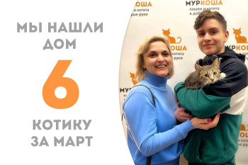 Годовалый Сэмик стал домашним!