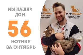 Всего два месяца и роскошный Серкан встретил своего человека!