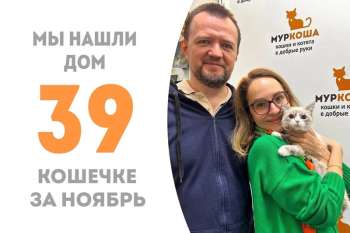 За 3,5 месяца Сержиу нашла семью!