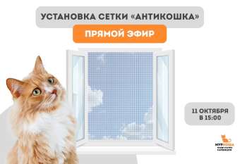 Установка сетки "антикошка" в режиме реального времени