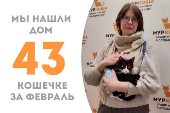 Кошечка Севара стала домашней всего за месяц!