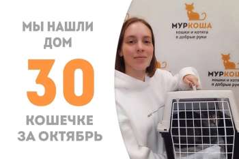 Менее 3 месяцев понадобилось Шарлине, чтобы обрести дом!