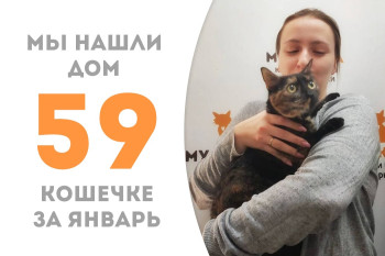 Кошечка Шаума встретилась со своей будущей хозяйкой и с удовольствием уехала домой!