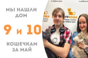 Всего два месяца потребовалось Шелти и Никарагуа, чтобы вместе уехать домой!
