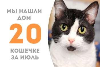 Шейн нашла свою семью, в которой её с нетерпением ждёт наш выпускник Воланд!