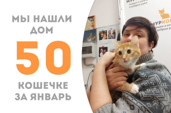 Солнечная девятимесячная малышка Шила уехала домой!