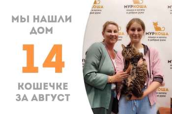 Шипулька дома вместе с любимой семьёй!