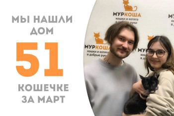 Шиё нашла семью и дом!