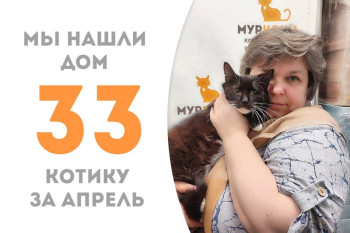 Чуть больше двух недель прошло, как к нам приехал Шторм, а котик уже сумел найти семью, в которую отправляется одновременно с нашим выпускником котиком Пингвином!