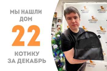 Обаятельный Шуршалыч завоевал сердце своего человека!
