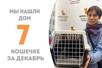 Шушка отправляется домой!