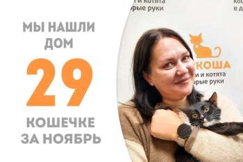 Милая Сиренюшка спешит в домашние уюты!