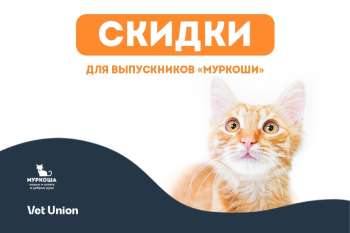 С партнёрами "Муркоши" - за добрыми делами 
