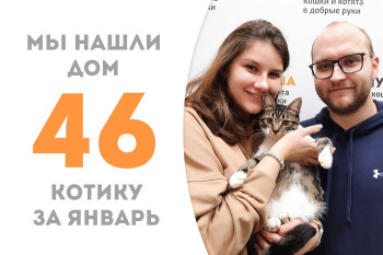 Котик Смолли стал домашним в свой первый день рождения!