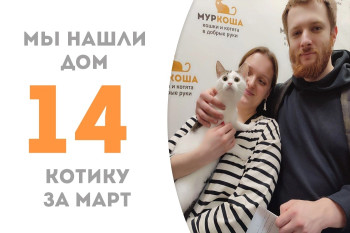 Одиннадцатимесячный Снапи стал домашним!