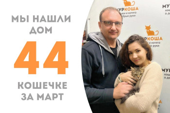 Три месяца понадобилось Снежке, чтобы стать домашней!