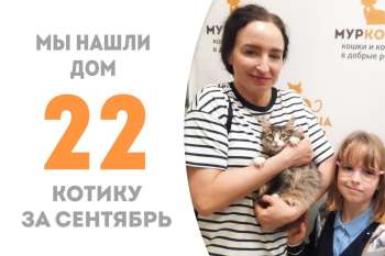 Сольфеджио теперь будет мурлыкать-звучать только дома!