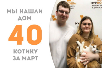 Котик Светофорчик нашёл свою семью!