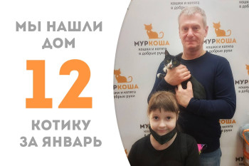 Котёнок Сюрприз встретился со своей будущей семьёй и уехал домой!