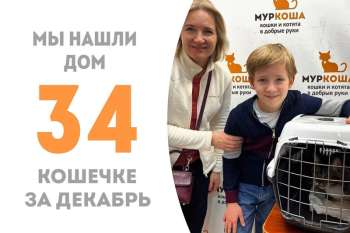 Таба отправляется в чудесную домашнюю жизнь!