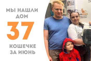Тельма нашла свою семью и отправилась создавать уют в доме!