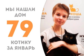Котик Токио начинает новую жизнь!