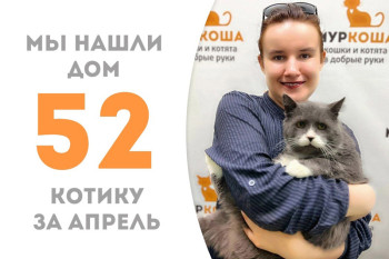 Котик Торш вытянул свой счастливый билет домой!