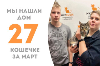 Четырехмесячная Твисти обрела семью!