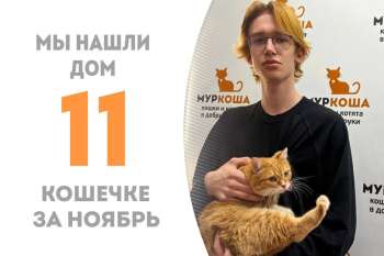Меньше двух месяцев понадобилось Уматурман, чтобы найти своего человека!